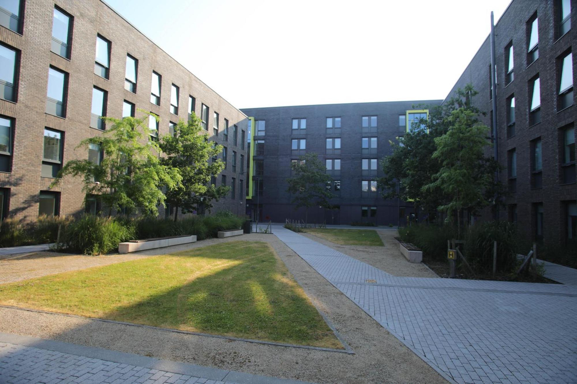 Goldcrest Village Apartments University Of גלוואיי מראה חיצוני תמונה