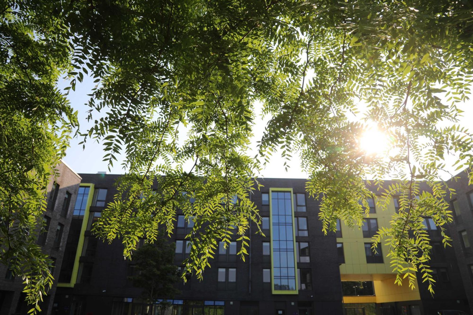 Goldcrest Village Apartments University Of גלוואיי מראה חיצוני תמונה